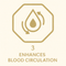 Enhances blood circulation